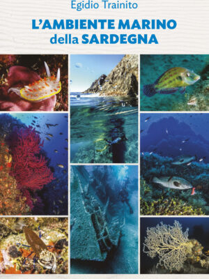 L'ambiente marino della Sardegna (2025)