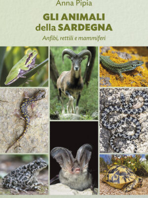 Gli animali della Sardegna  (2025)