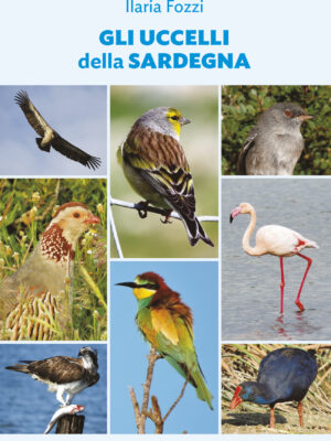 Gli uccelli della Sardegna (2025)